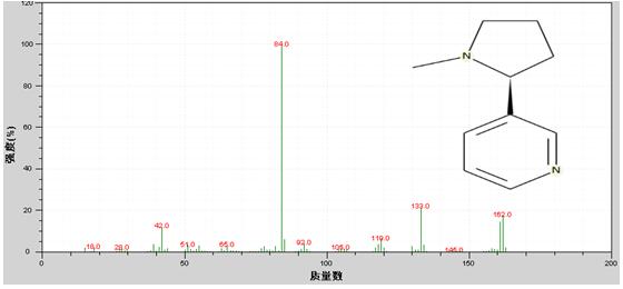 PG�齫������Ѱ�����-pg�齫�����������°��ȫ-��ɫ��Դ��